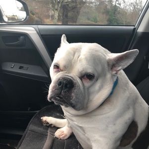 Meet your Posher, Donna